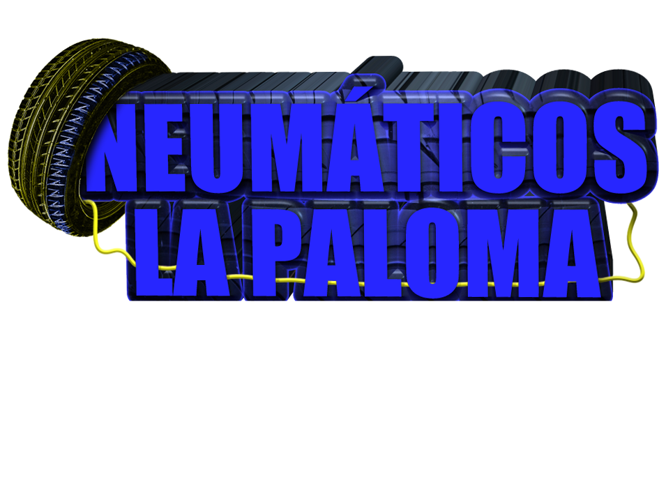 Neum&aacute;ticos Michelin